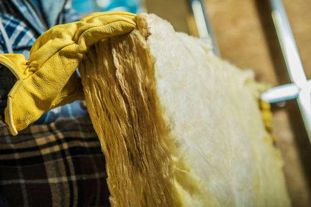 Best Commercial Insulation in Bloomingdale, GA