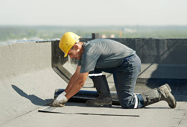 Best Specialty Insulation in Bloomingdale, GA