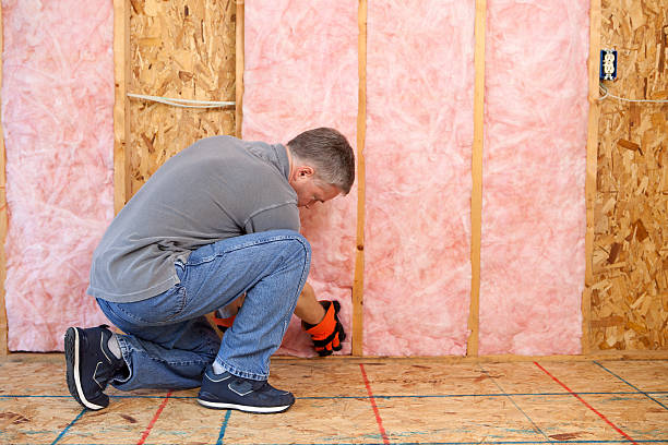 Best Insulation Maintenance and Repair in Bloomingdale, GA